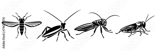 Hand drawn vector illustration  sketch of insect © lahiru