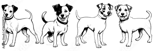 Hand drawn vector illustration  sketch of dog