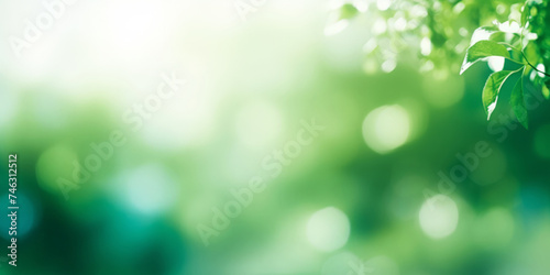  green leaves blurred light background, green Spring bokeh nature abstract background , green leaves with sunlight , banner photo
