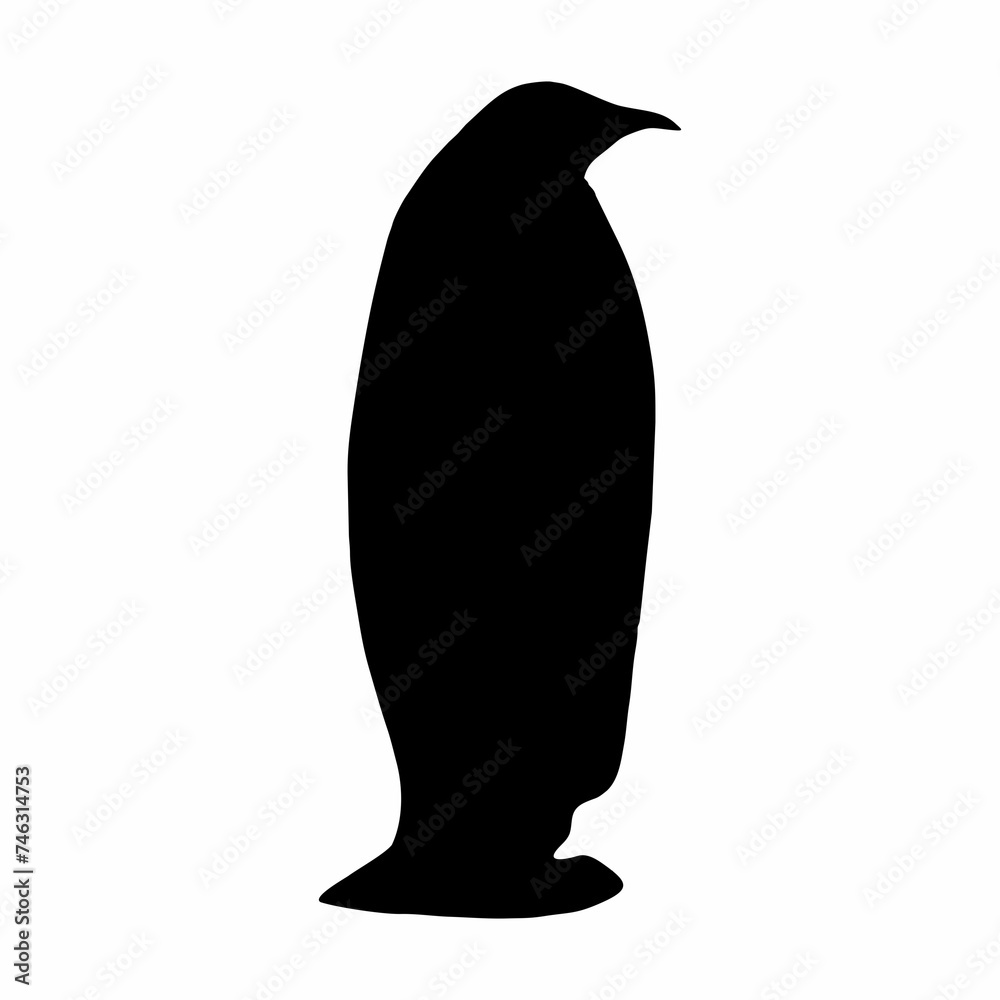 Fototapeta premium black penguin silhouette walking and skating