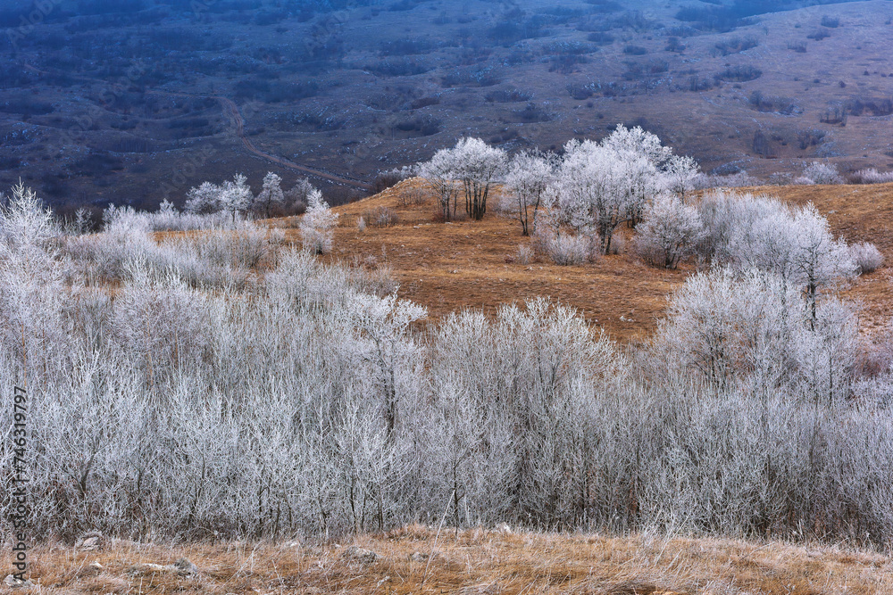 Scenic view of trees covered with frost in Livno, Bosnia and Herzegovina Scenic view of trees covered with frost in Livno, Bosnia and Herzegovina