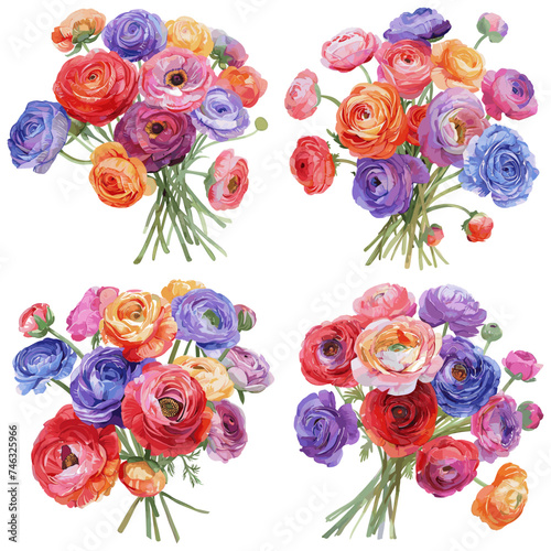 Ranunculus Flowers set watercolor isolated on white background
