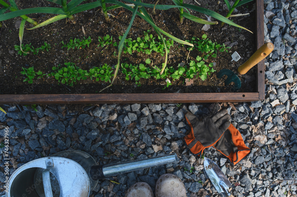 custom made wallpaper toronto digitalspring vegetable garden work. Seeding and growing herbs in raised garden beds. Gloves, watering can and tools.