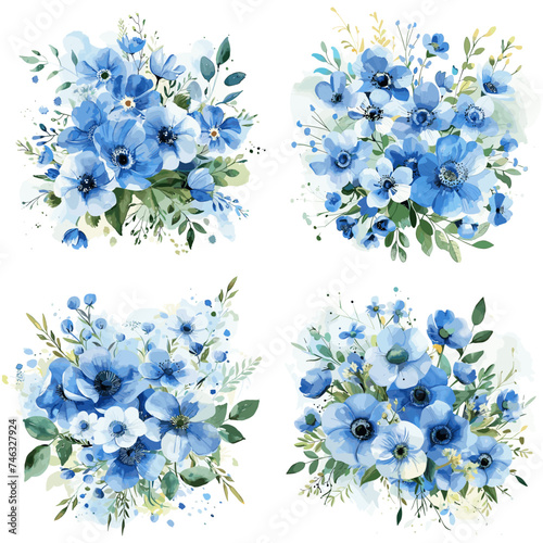 Watercolor Nemophila flower isolated on white background