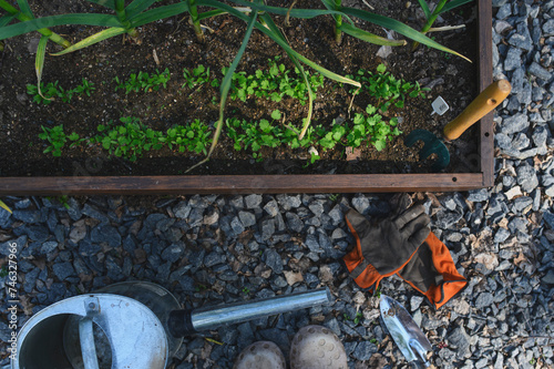 Wallpaper Mural spring vegetable garden work. Seeding and growing herbs in raised garden beds. Gloves, watering can and tools. Torontodigital.ca