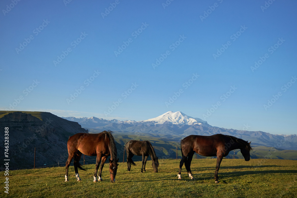 Horses graze freely amidst majestic mountains and lush green meadows. Against the backdrop of vibrant summer sky, herd roams, embodying beauty of rural life Horses graze freely amidst majestic mountains and lush green meadows. Against the backdrop of vibrant summer sky, herd roams, embodying beauty of rural life