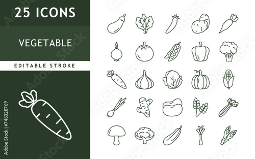 Vegetable icon set. Fresh food organic icons collection. vector illustration. editable stroke