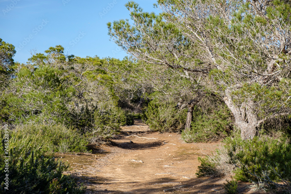 Can Marroig public estate, Formentera, Pitiusas Islands, Balearic Community, Spain Can Marroig public estate, Formentera, Pitiusas Islands, Balearic Community, Spain