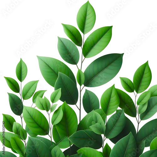 green leaves isolated on transparent background AI Generated 