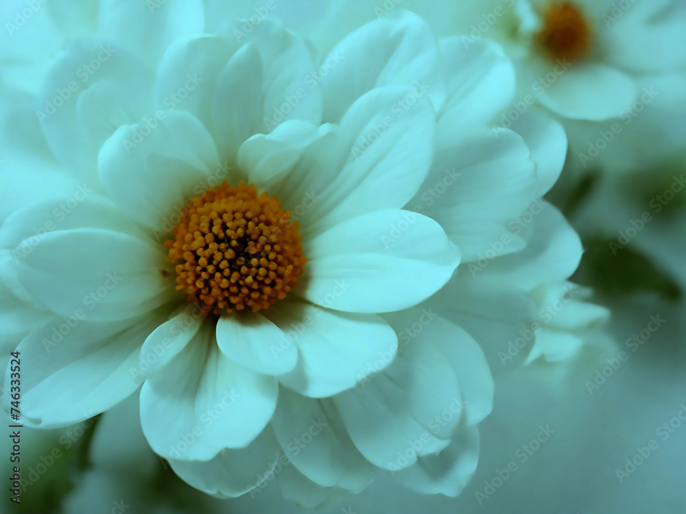 Fototapeta premium White Flower Wallpaper Background Ai generate