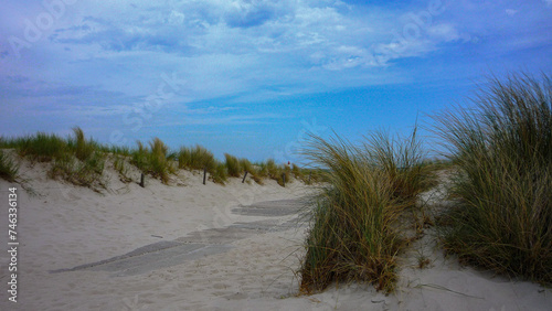 Sand dunes and maritime seascape coast view in Warnemunde Rostock  Germany at East Sea 