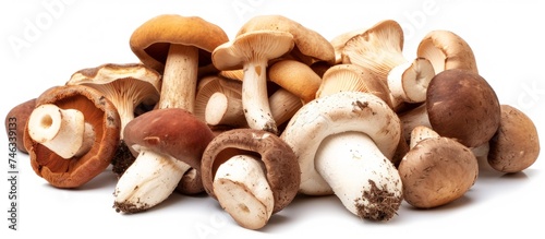 A bountiful pile of assorted mushrooms isolated on a pure white background