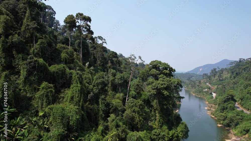 Aerial view of the lush greenery in the Annamite Range, Vietnam, showcasing the dense tropical forests and a serene river amidst the natural landscape Aerial view of the lush greenery in the Annamite Range, Vietnam, showcasing the dense tropical forests and a serene river amidst the natural landscape