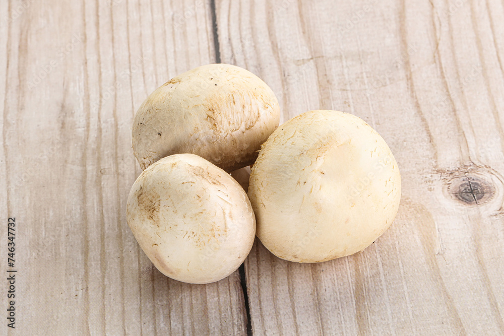 Natural organic ripe champignon mushrooms Natural organic ripe champignon mushrooms