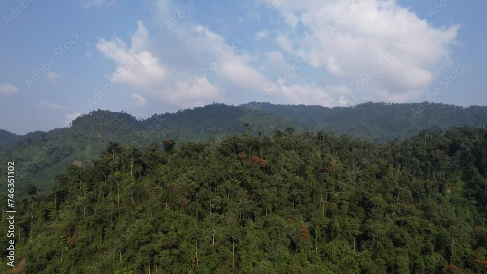 Aerial view of the lush, verdant landscape of the Annamite Range in Vietnam, showcasing the natural beauty and biodiversity of Southeast Asia Aerial view of the lush, verdant landscape of the Annamite Range in Vietnam, showcasing the natural beauty and biodiversity of Southeast Asia