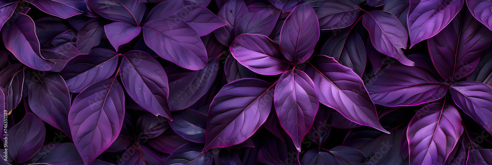 photographic background of lush purple iredescend leaves photographic background of lush purple iredescend leaves