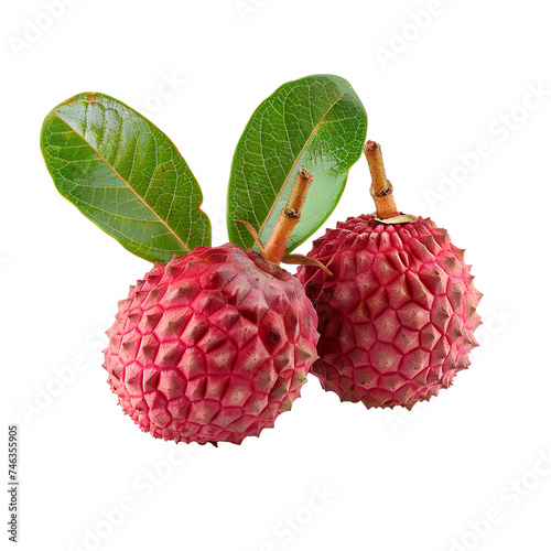 Lychee fruit PNG. Lychee top view PNG. Lychee flat lay isolated. Exotic fruit lychee isolated