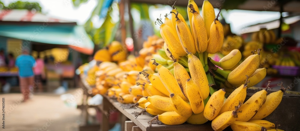 A diverse bunch of fresh yellow bananas is arranged neatly on display at a bustling market, attracting shoppers with their vibrant colors and appealing freshness.