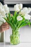 Woman putting bouquet of white tulip flowers into vase in the kitchen.