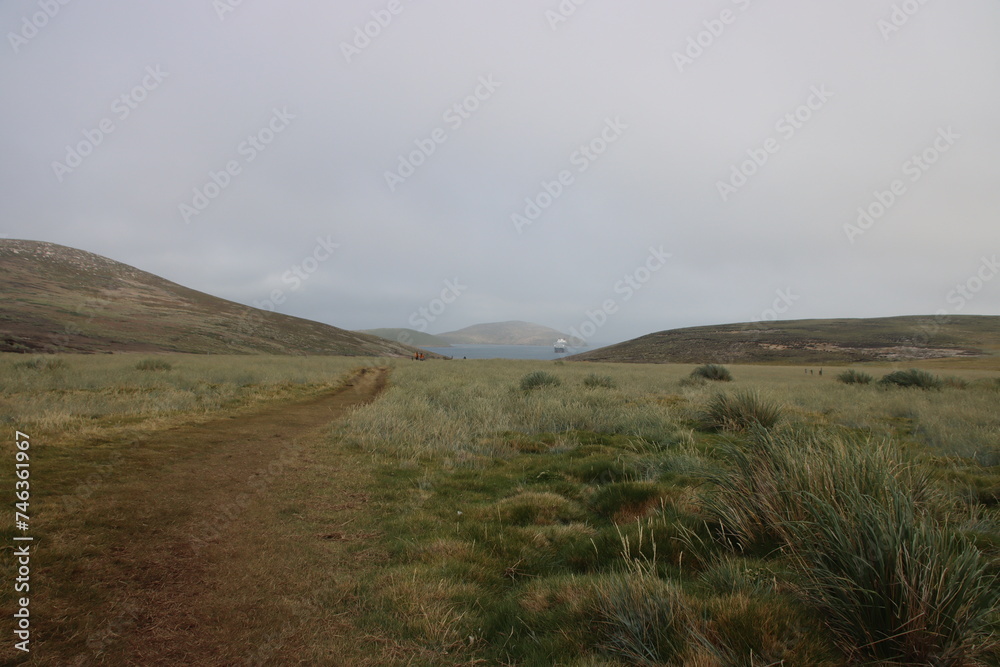 Fototapeta premium Walking track on New Island in the Falkland Islands.