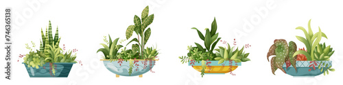 Houseplant plant growing in pots. Beautiful home decorations, plants isolated on white background. Cartoon flat illustration.
