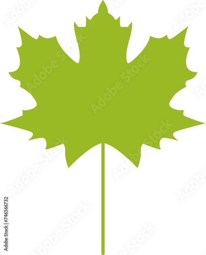 Leaves icon vector isolated on white background. Various shapes of green leaves, trees and plants. Eco, bio, fresh, nature logos. photo