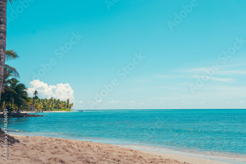 Paradise beach in the caribbean with wood house in the tropical world in dominican republic