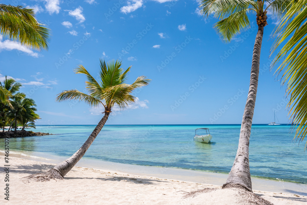 Paradise beach in the caribbean with wood house in the tropical world in dominican republic - obrazy, fototapety, plakaty 