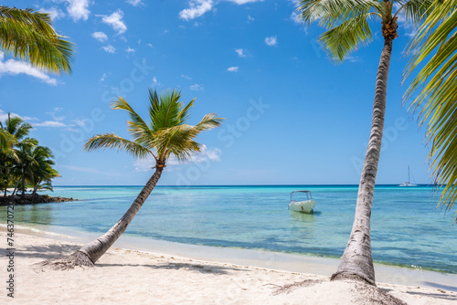 Paradise beach in the caribbean with wood house in the tropical world in dominican republic