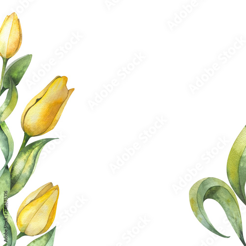 floral frame made of yellow tulips and leaves. Botanical watercolor illustration on a white background. for the design of postcards