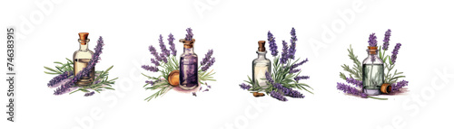 Bottle of essential oil with fresh lavender set watercolor. Vector illustration design. photo