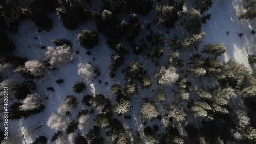 Flying over winter forrest in sweden photo
