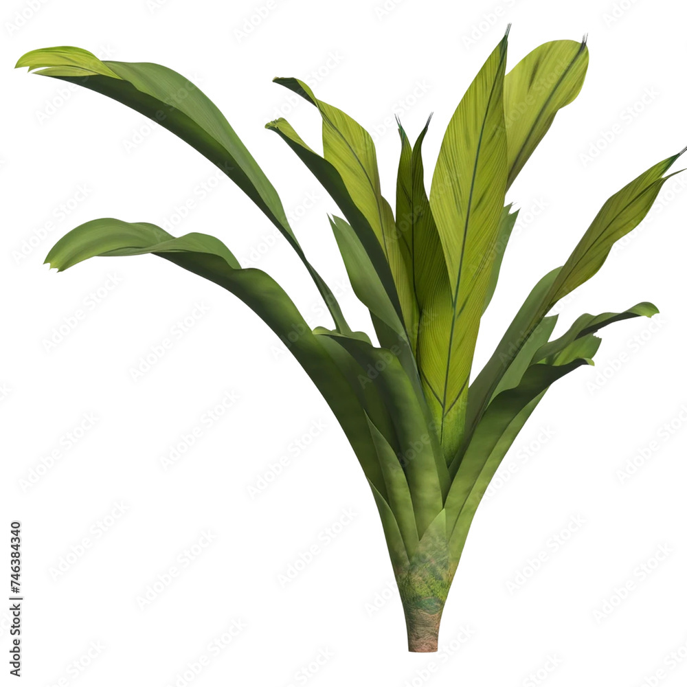 Obraz premium tropical plant, on a white background generative ai