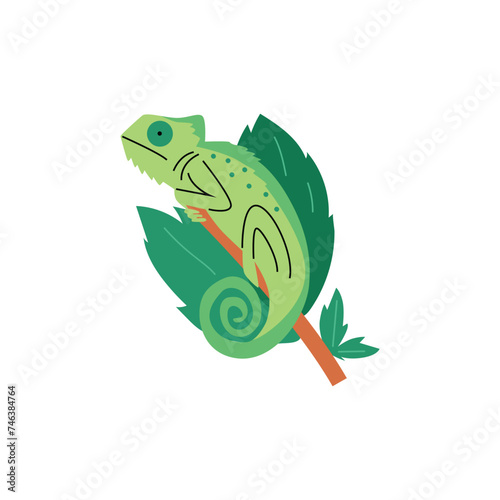 Green chameleon with foliage vector illustration