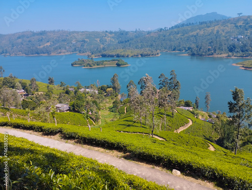 Castlereigh Reservoir is a beautiful lake surrounded by lush green peaks hidden in a valley in the Hatton area of the Nuwara Eliya District in the Central Province sri lanka. photo