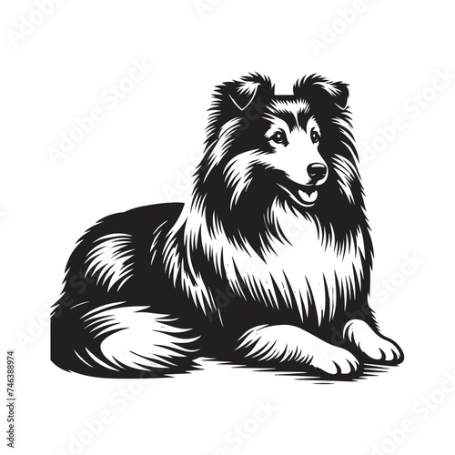 Vintage Retro Styled Vector Shetland Sheepdog Silhouette Black and White - illustration