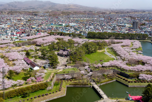 Goryokaku Park in Hakodate during the spring Cherry Blossom (Sakura) bloom. (Hokkaido, Japan)