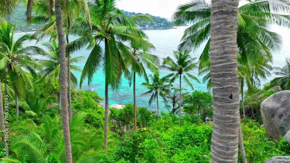 A mesmerizing tableau unfolds from above, coconut groves dotting the landscape, dramatic rocks, and crystalline seas colliding in harmony. Sea stock footage. Koh Tao, Thailand. Green background. 4K.
A mesmerizing tableau unfolds from above, coconut groves dotting the landscape, dramatic rocks, and crystalline seas colliding in harmony. Sea stock footage. Koh Tao, Thailand. Green background. 4K.