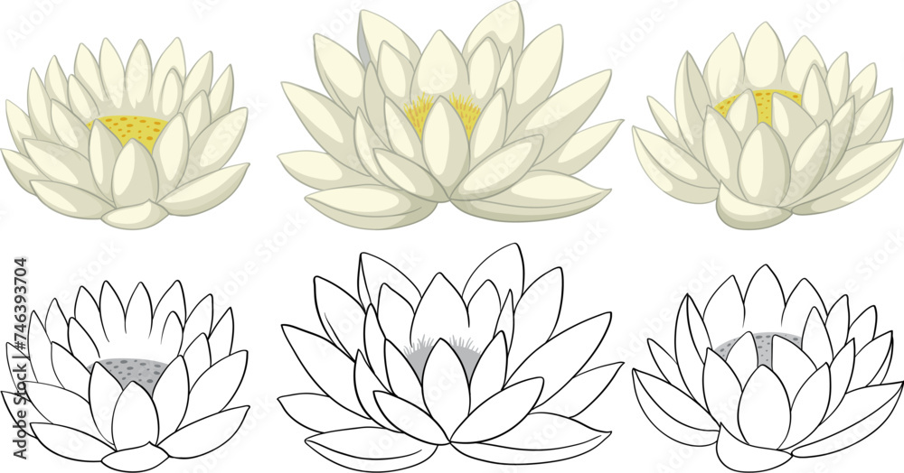 Collection of lotus flowers in various shades and styles.