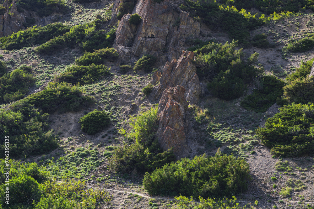 mountain stones among the bushes in the valley in summer in nature