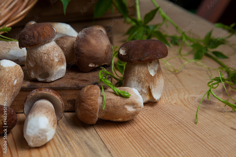 Selective focus on beautyfull porcini mushroom among the pile of wild porcini mushrooms on wooden background at autumn season.. Selective focus on beautyfull porcini mushroom among the pile of wild porcini mushrooms on wooden background at autumn season..
