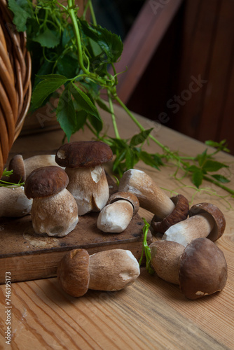 Pile of wild porcini mushrooms on wooden background at autumn season..