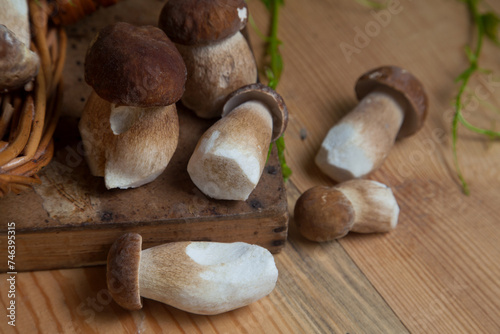 Selective focus on beautyfull porcini mushroom among the pile of wild porcini mushrooms on wooden background at autumn season..