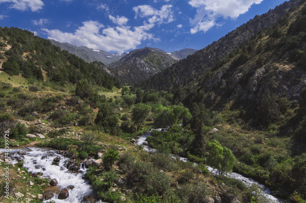 field with mountain rivers in the Tien Shan mountains in Kazakhstan in summer. Kaskasu Gorge field with mountain rivers in the Tien Shan mountains in Kazakhstan in summer. Kaskasu Gorge