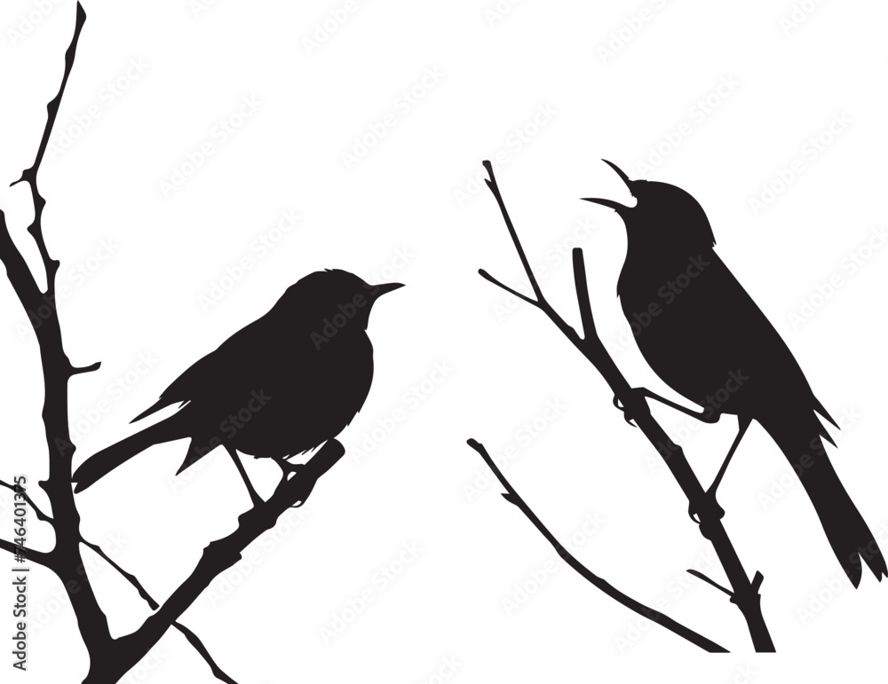 Black silhouette bird on the branch white background Black silhouette bird on the branch white background