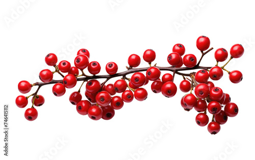 Branch With Red Berries. A The red berries stand out vividly against the neutral backdrop, adding a splash of color to the scene. on a White or Clear Surface PNG Transparent Background.