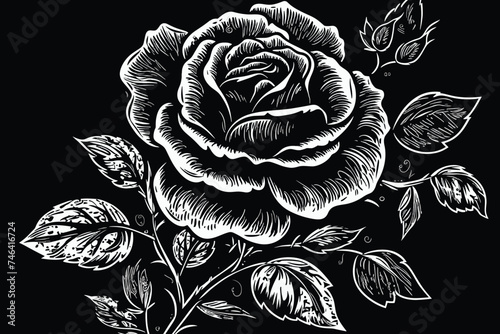 black and white flowers design