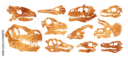 Dinosaur skull fossil set. Dino head with teeth. Bone skeleton footprint. Dead prehistoric Jurassic dino skull. Dinosaur Tyrannosaurus Rex Triceratops Stegosaurus Spinosaurus. Paleontology fossil