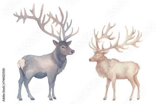 cute elk soft watercolour vector illustration
