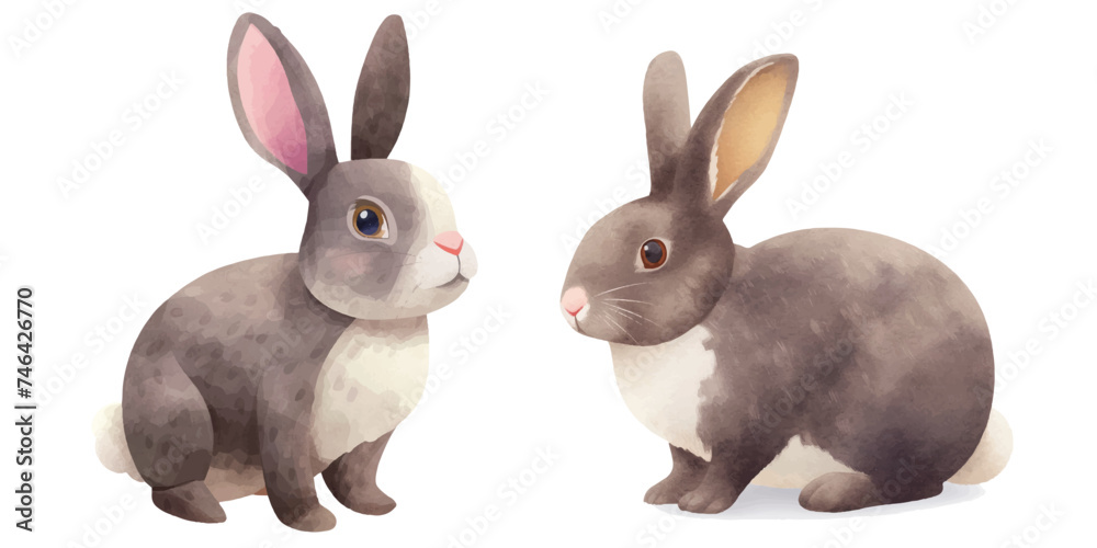 Fototapeta premium cute rabbit watercolour vector illustration
